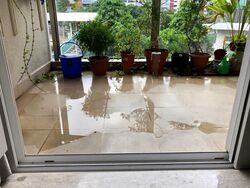 Cardiff Residence (D19), Condominium #633698761